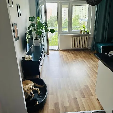 Pet's House 아파트